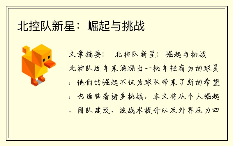 北控队新星：崛起与挑战