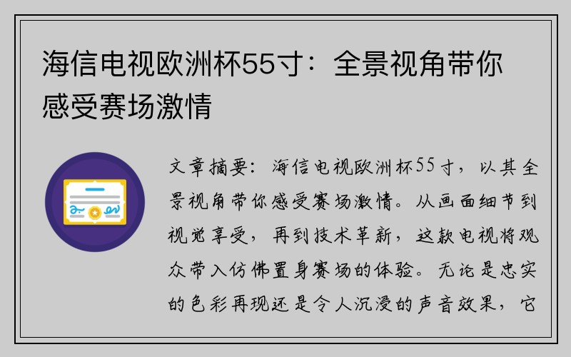 海信电视欧洲杯55寸：全景视角带你感受赛场激情